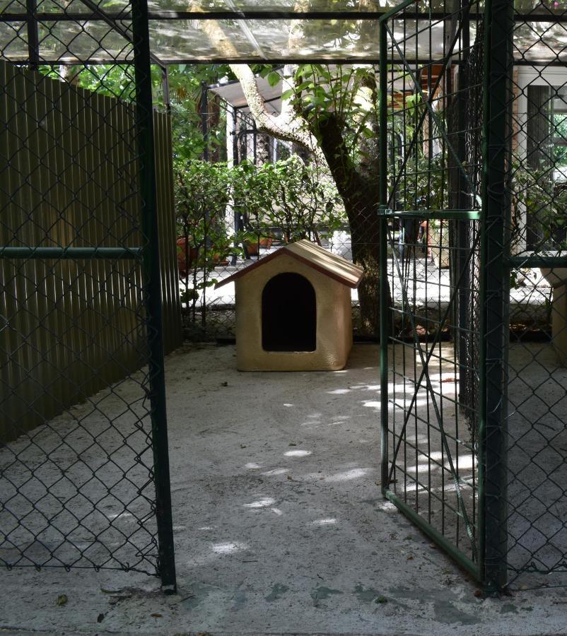 Cospea B&B Terni Exterior foto